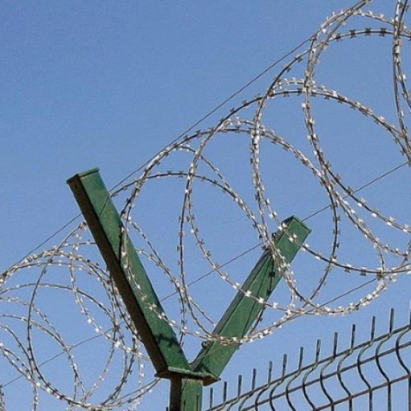 Jiletli Tel Nerelerde Kullanılır